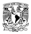 UNAM